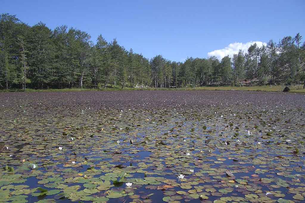 The Lura Lakes