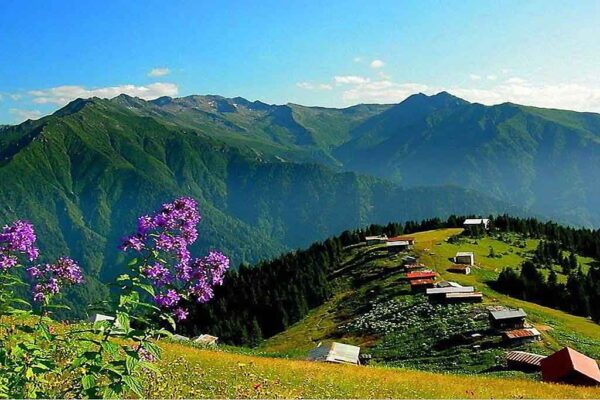 Lepushe - Alpine Village